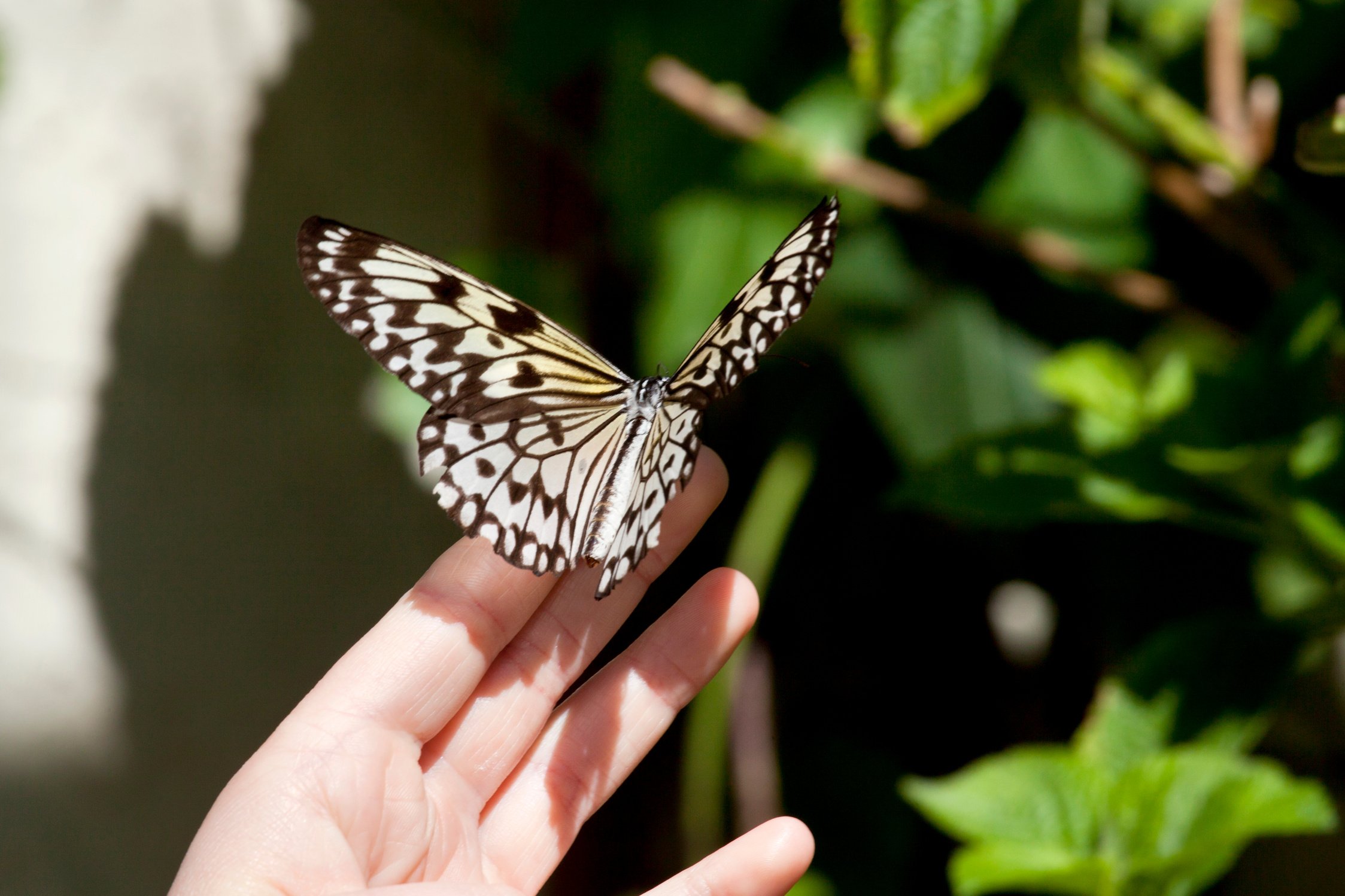 Environmental Education: Learning About Nature