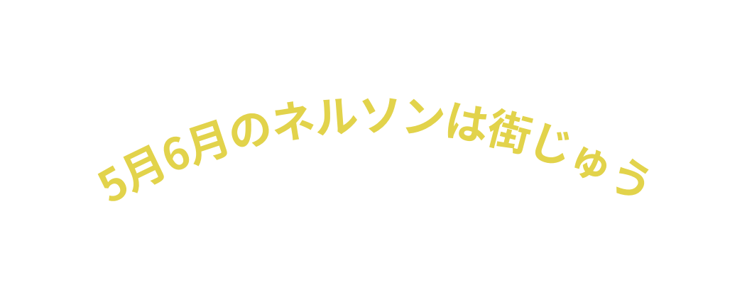 5月6月のネルソンは街じゅう