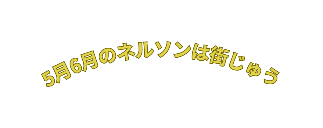 5月6月のネルソンは街じゅう